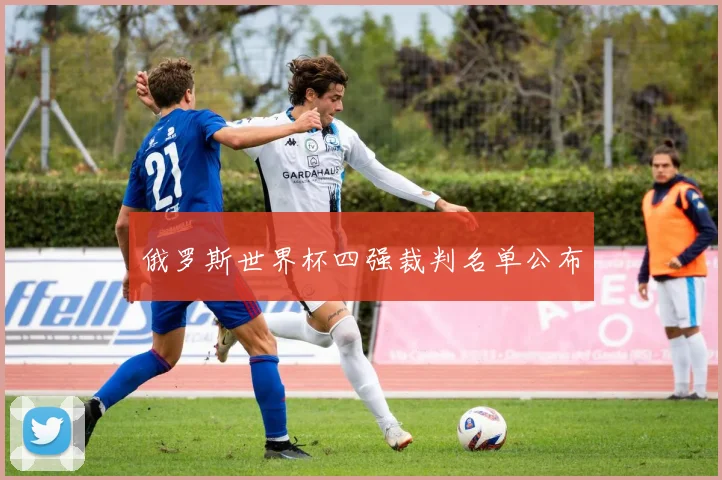 俄罗斯世界杯四强裁判名单公布