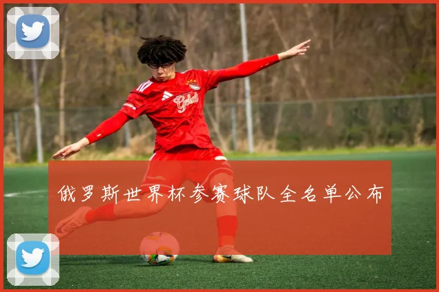 俄罗斯世界杯参赛球队全名单公布