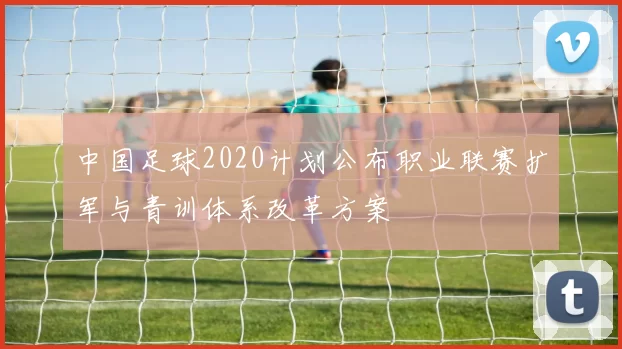 中国足球2020计划公布职业联赛扩军与青训体系改革方案