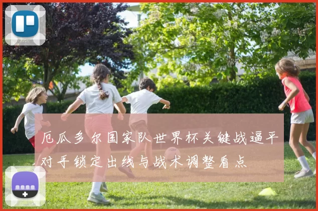 厄瓜多尔国家队世界杯关键战逼平对手锁定出线与战术调整看点