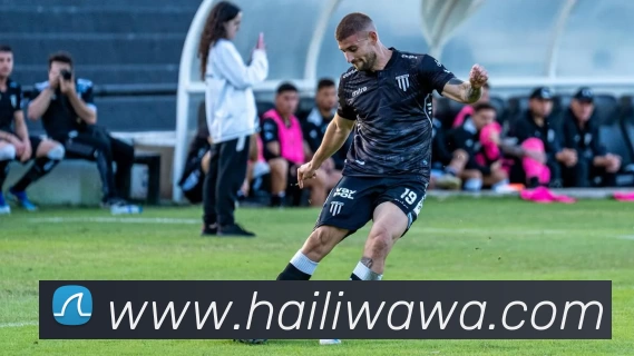 多媒体互动体验